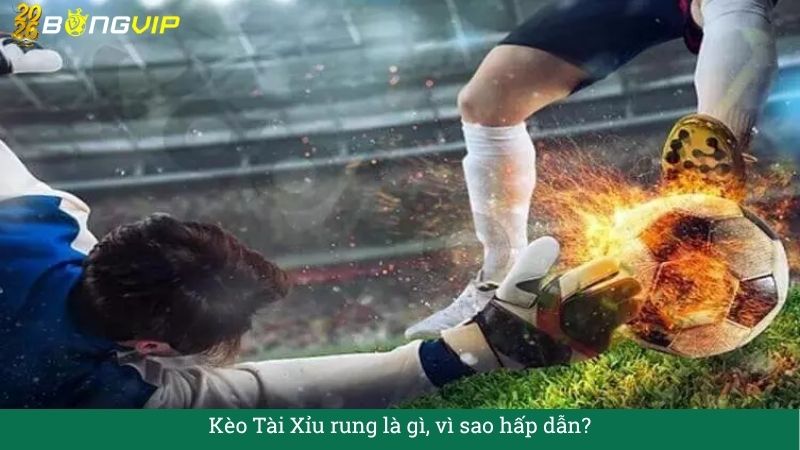 Kèo Tài Xỉu rung – Hướng Dẫn Soi Kèo & Bí Quyết Thắng Đậm BONGVIP
