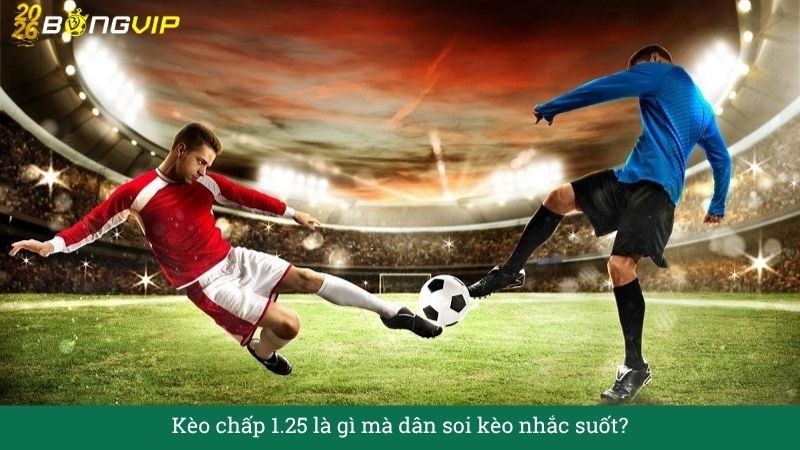 Giải mã Kèo chấp 1.25 – Đọc nhanh, thắng chắc