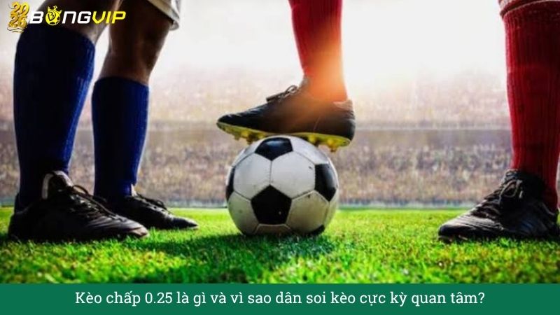 Kèo chấp 0.25 – Nhỏ mà xoay cả cửa cược